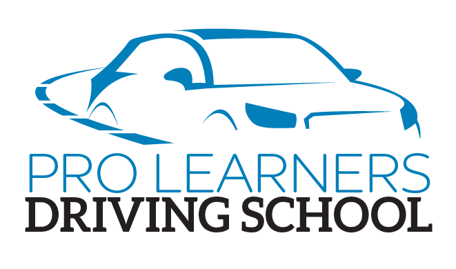 pro-leanring-school-logo